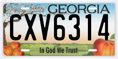 GA license plate CXV6314