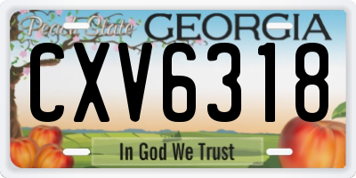 GA license plate CXV6318