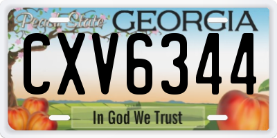 GA license plate CXV6344