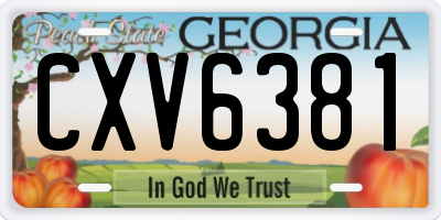 GA license plate CXV6381