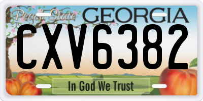 GA license plate CXV6382