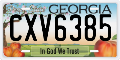 GA license plate CXV6385