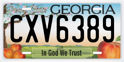 GA license plate CXV6389