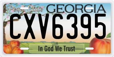 GA license plate CXV6395