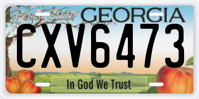 GA license plate CXV6473