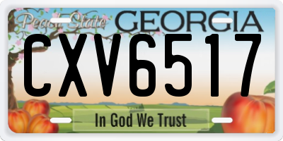 GA license plate CXV6517