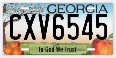 GA license plate CXV6545