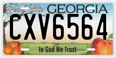 GA license plate CXV6564