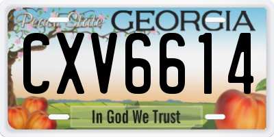GA license plate CXV6614