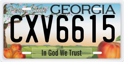 GA license plate CXV6615