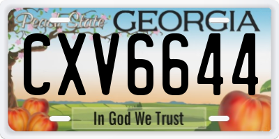 GA license plate CXV6644