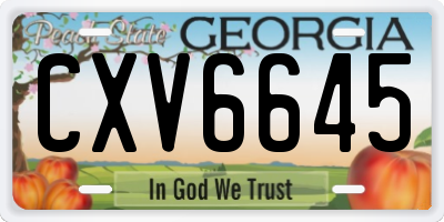 GA license plate CXV6645