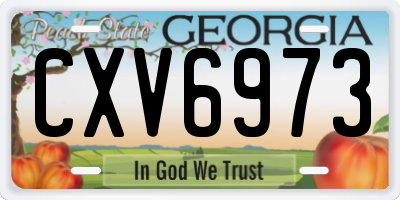 GA license plate CXV6973