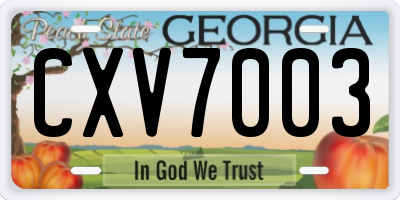 GA license plate CXV7003