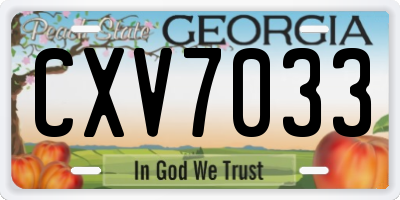 GA license plate CXV7033