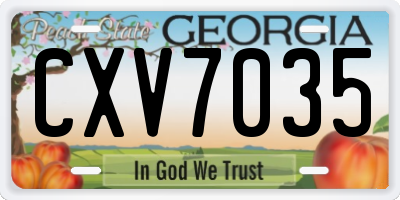 GA license plate CXV7035