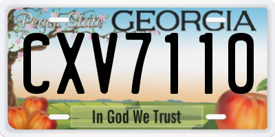 GA license plate CXV7110
