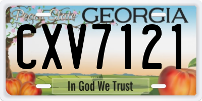 GA license plate CXV7121