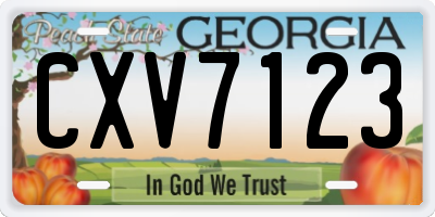 GA license plate CXV7123