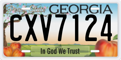 GA license plate CXV7124