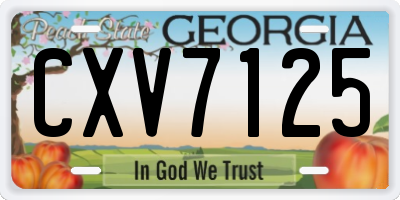GA license plate CXV7125