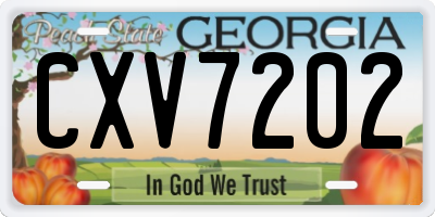 GA license plate CXV7202