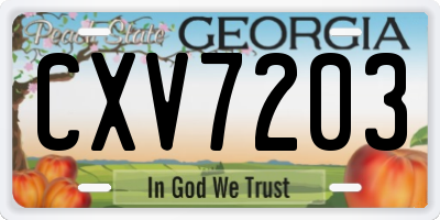 GA license plate CXV7203