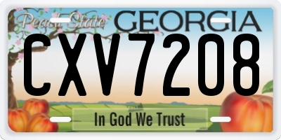 GA license plate CXV7208
