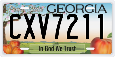 GA license plate CXV7211