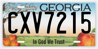 GA license plate CXV7215