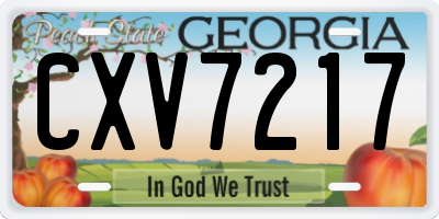 GA license plate CXV7217