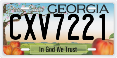 GA license plate CXV7221