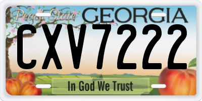 GA license plate CXV7222