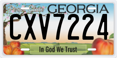 GA license plate CXV7224