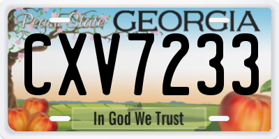 GA license plate CXV7233