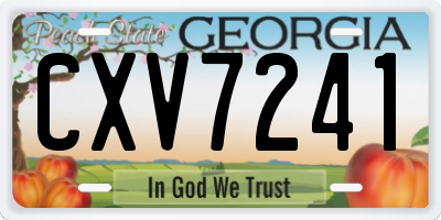 GA license plate CXV7241
