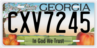 GA license plate CXV7245