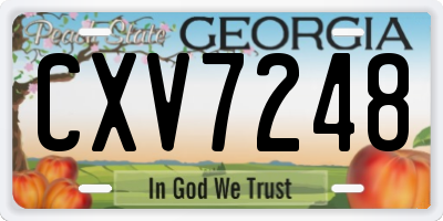 GA license plate CXV7248