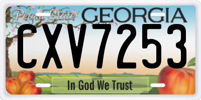 GA license plate CXV7253