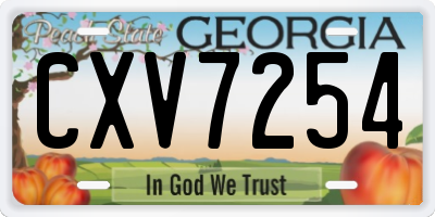 GA license plate CXV7254