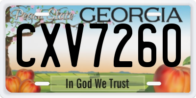 GA license plate CXV7260