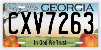GA license plate CXV7263