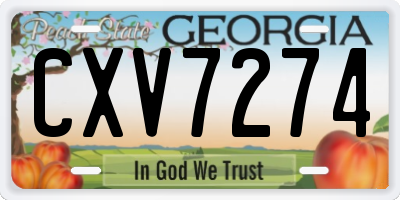 GA license plate CXV7274