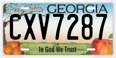 GA license plate CXV7287