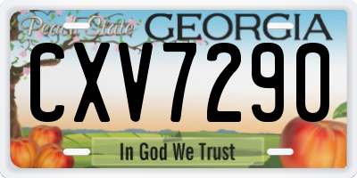 GA license plate CXV7290