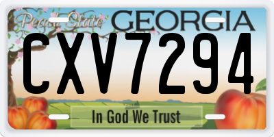 GA license plate CXV7294