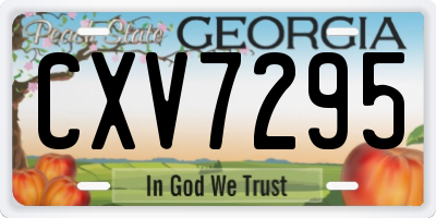 GA license plate CXV7295