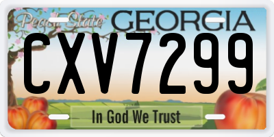 GA license plate CXV7299