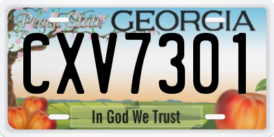 GA license plate CXV7301