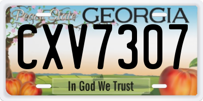 GA license plate CXV7307